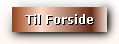Forside